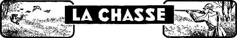Le Chasseur Français N°646 Décembre 1950 Page 709 Le Chasseur Français N°646 Décembre 1950 Page 709