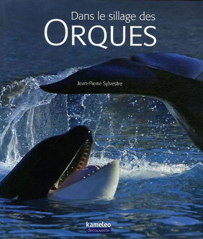Dans le sillage des orques Dans le sillage des orques